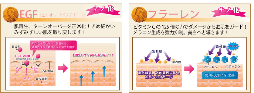 EGFとフラーレン