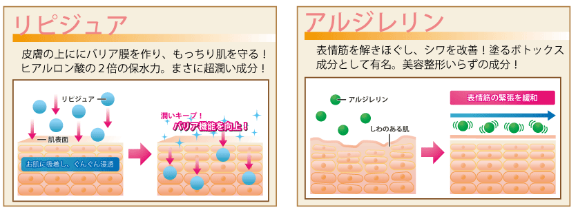 リピジュアとアルジレリン